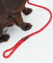 Load image into Gallery viewer, Barbour Rope Reflective Slip Lead Red