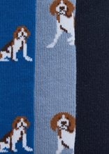 Load image into Gallery viewer, Barbour Multi Dog Sock Set Beagle