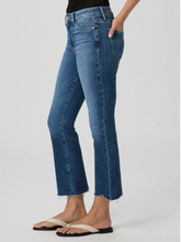 Load image into Gallery viewer, Colette Crop Flare Novelist