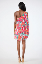 Load image into Gallery viewer, TT Narbonne Dress