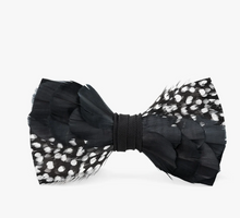 Load image into Gallery viewer, Brackish Bisbee Bow Tie