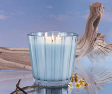 Load image into Gallery viewer, Nest Candle Driftwood &amp; Chamomile