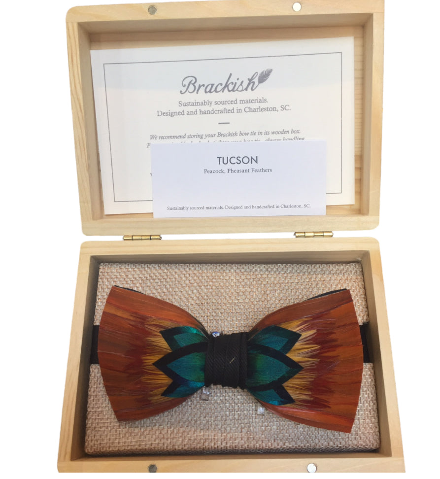 Brackish Bow Tie Tucson