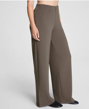 Load image into Gallery viewer, AE Smooth Front Pant Mineral
