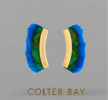 Load image into Gallery viewer, Brackish Cresent Earring Colter Bay