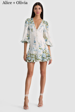Load image into Gallery viewer, Irene Mini Dress