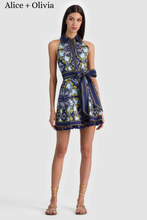 Load image into Gallery viewer, Lucy Sleeveless Mini Shirt Dress
