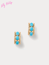 Load image into Gallery viewer, Sunshine Grove Hoop Earrings