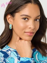 Load image into Gallery viewer, Sunshine Grove Hoop Earrings