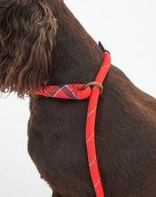 Load image into Gallery viewer, Barbour Rope Reflective Slip Lead Red