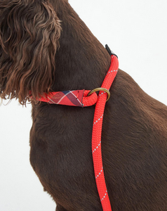 Barbour Rope Reflective Slip Lead Red