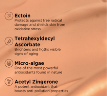 Load image into Gallery viewer, Mineral Tinted Moisturizer SPF 30