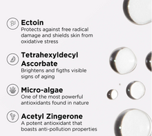 Load image into Gallery viewer, Protect &amp; Refresh Mist SPF 40