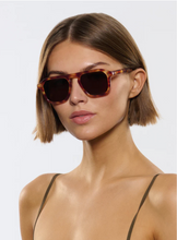 Load image into Gallery viewer, ZANDER Hawksbill