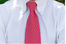 Load image into Gallery viewer, Tennessee Red Tri Star Tie