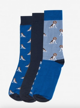 Load image into Gallery viewer, Barbour Multi Dog Sock Set Beagle