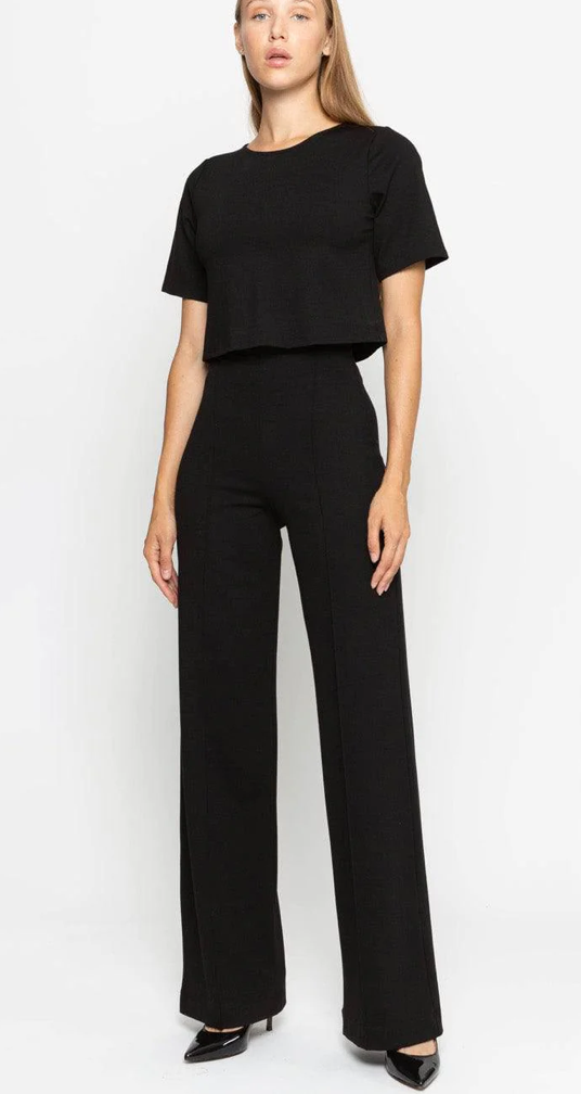 Ripley Rader Ponte Knit Straight Leg Pant Black