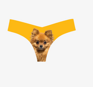 Commando Thong Pomeranian