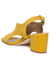 Load image into Gallery viewer, Bernardo Bedford Mid Heel  Ochre Kid Suede