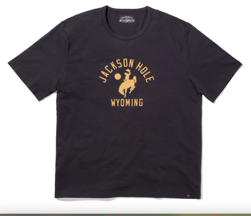 Faherty Women's Jackson Hole Crew T-Shirt Washed Black