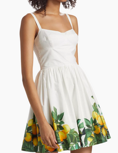 Amanda Uprichard Napoli Dress Lemonhead