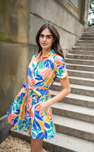 Shoshanna Kyanna Dress Sunburst Multi