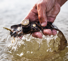 Load image into Gallery viewer, Over Under Waterproof Single Shot Camo Belt