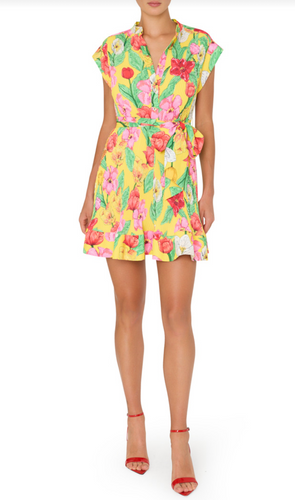 Milly Joan Tulip Dress Yellow Multi