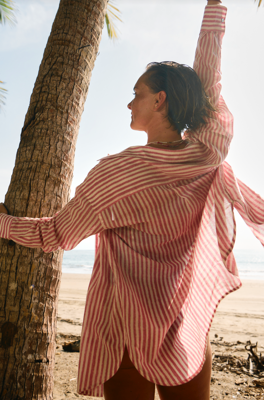 Haze Shirtdress Rose Stripe Watercolor