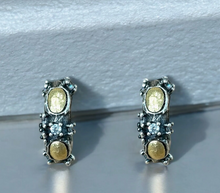 Load image into Gallery viewer, Mini Alma Silver