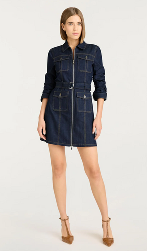 Fauna Denim Dress Indigo
