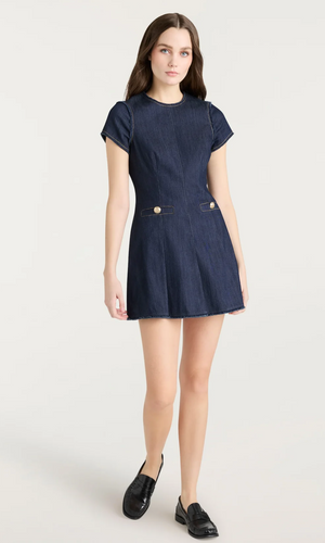 Indigo Denim Dress Indigo
