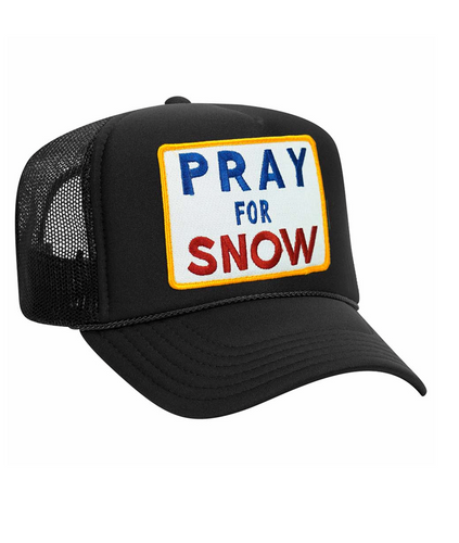 AVN Pray For Snow Trucker