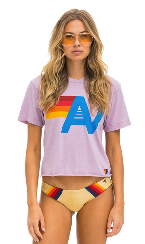 AVN Boyfriend Tee Mauve