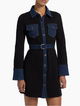 Load image into Gallery viewer, Aliza Mini Dress
