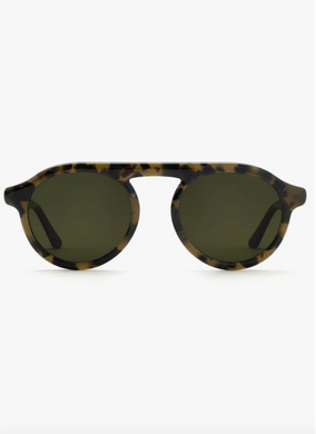 Cameron Tortuga Polarized