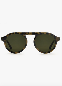 Cameron Tortuga Polarized