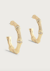 Bamboo Medium Hoop Earring Gold