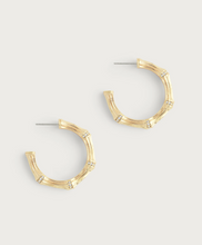 Load image into Gallery viewer, Bamboo Medium Hoop Earring Gold