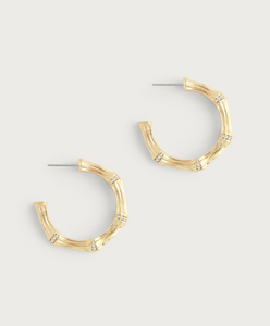 Bamboo Medium Hoop Earring Gold