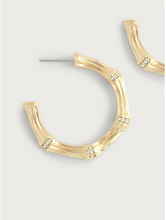 Load image into Gallery viewer, Bamboo Medium Hoop Earring Gold