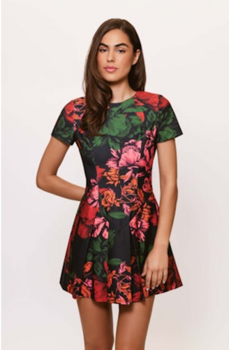 Emmanuela Dress Black Floral
