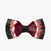 Load image into Gallery viewer, Marigot Bay Bow Tie
