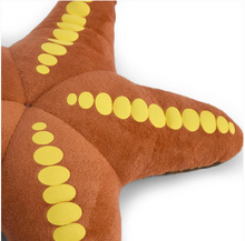 Load image into Gallery viewer, Starfish Dog Toy