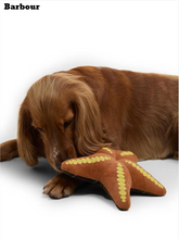 Load image into Gallery viewer, Starfish Dog Toy