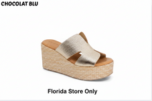 Load image into Gallery viewer, FLORIDA STORE ONLY