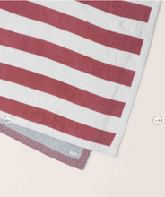 Load image into Gallery viewer, CozyChic American Flag Blanket