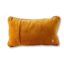 Load image into Gallery viewer, Never Lost A Tailgate Pillow