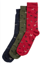 Load image into Gallery viewer, Barbour dog print crew socks gift set in navy, olive green, and red, three pairs