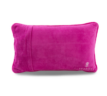 Load image into Gallery viewer, Fancy Needlepoint Pillow
